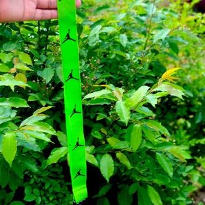 Like green Jordan lanyard